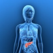 Diabetes Type 1 related image